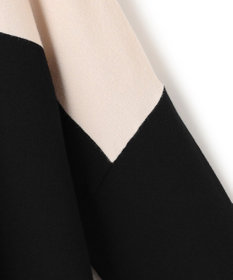 ICB L 【洗える】 ヴィスコースワイド タートルネックプルオーバー