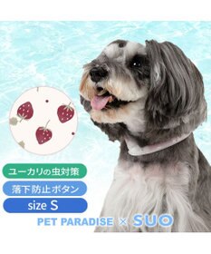 PET PARADISE ペットパラダイス 28℃クールリング  《いちご》 Ｓ 小型犬