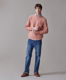 J.PRESS MEN ギマコットンクルーニット