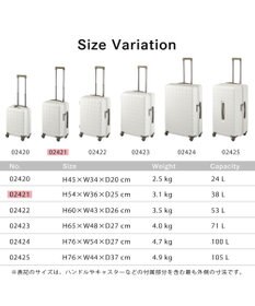 ACE BAGS & LUGGAGE Proteca 360G4 スーツケース 日本製 機内持ち込み 38L 02421 プロテカ