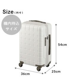 ACE BAGS & LUGGAGE Proteca 360G4 スーツケース 日本製 機内持ち込み 38L 02421 プロテカ