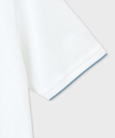 Paul Smith Zebra ライン ポロシャツ