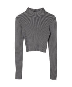 WEGO リブハイネックショートニット