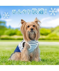 PET PARADISE ペットパラダイス 接触冷感 マリン風 タンクトップ 小型犬