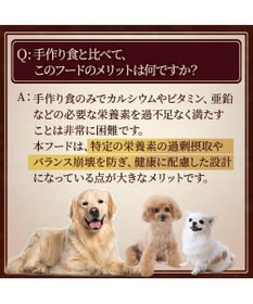 PET PARADISE ビオキッチン エイジングネオ ３ｋｇ