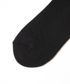 WEGO ダイナソー刺繍アンクルソックス