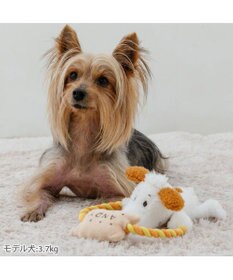 PET PARADISE スヌーピー アンディ ロープトイ