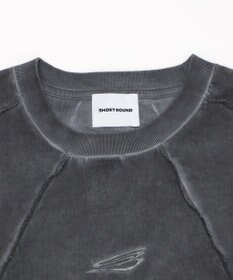 WEGO 【ユニセックス着用ITEM/MLサイズ展開】コールドダイスウィッチングロゴT（SS）