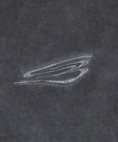 WEGO 【ユニセックス着用ITEM/MLサイズ展開】コールドダイスウィッチングロゴT（SS）