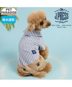 PET PARADISE J.PRESS ストライプ パンツつなぎ 小型犬