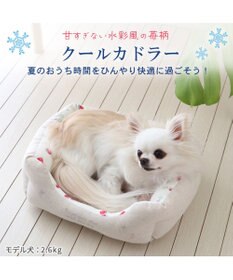 PET PARADISE 苺柄 四角型クール カドラーベッド（38cm）