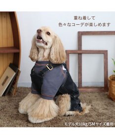 PET PARADISE Lee ステッチ トレーナー 《グレー》 中型犬 大型犬