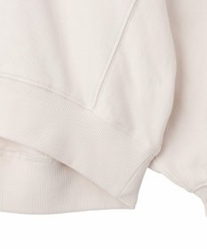 AMERICAN HOLIC カレッジロゴドルマンスウェット