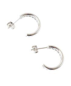 Green Parks ・ＨＡＬＦ　ＴＩＭＥサージカルサークルピアス