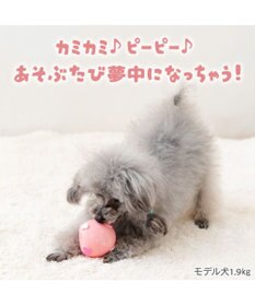 PET PARADISE スヌーピー ラテクスボール 《ベル》