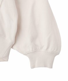 AMERICAN HOLIC カレッジロゴドルマンスウェット