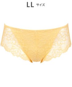 WACOAL サニタリーショーツ 【GOCOCi ゴコチ】 「普通~多い日」に対応 後ろまでしっかりカバー 羽付きナプキン対応 総レース 生理用ショーツ はきこみ丈あさめ レディース PGG198 /ワコール