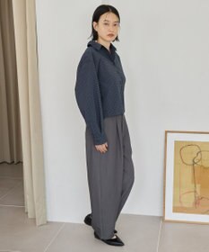 AMERICAN HOLIC クロップド丈バックタックシャツ