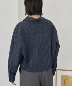 AMERICAN HOLIC クロップド丈バックタックシャツ