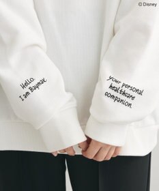 Green Parks １０ｔｈベイマックス／バック刺繍プルオーバー