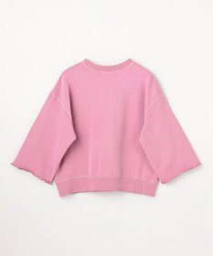 ANY ピグメントロゴスウェット