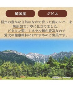 PET PARADISE 信州 鹿レバージャーキー 40g 国産