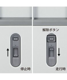 ACE BAGS & LUGGAGE ace. エース パリセイド3-Z 06915 スーツケース ジッパータイプ 74リットル