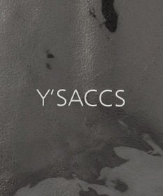 Y'SACCS PVCメタリックショルダーバッグ