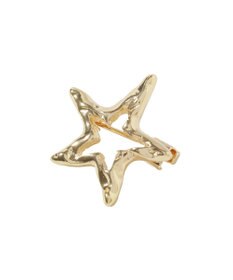 AMERICAN HOLIC 【2点SET】パールピン&スター