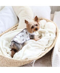 PET PARADISE ペットパラダイス ふわりと キルトベスト 《パンダ》 小型犬 超小型犬