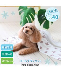 PET PARADISE ペットパラダイス くまちゃん クールブランケット (90×60cm)