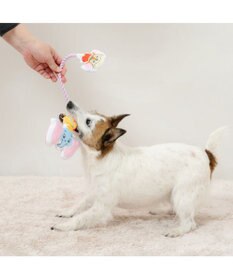 PET PARADISE ディズニー ダンボ ＆ティモシー  ロープトイ