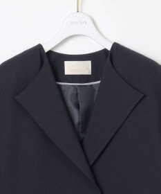 ANY SIS S ノーカラーライト テロンチ