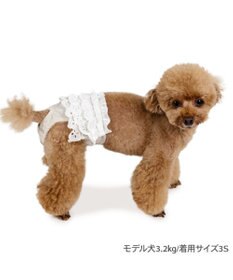 PET PARADISE ペットパラダイス レースフリル サニタリーパンツ