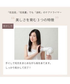 YAMATO テーブル＆キッチン 【TWINBIRD】ケアドライヤー  ホワイト  TB-G008JPW