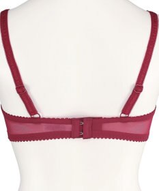 San-ai Resort（三愛水着楽園） エレガントコレクション【2411】単品ブラEFGカップ 【northerly】