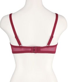 San-ai Resort（三愛水着楽園） エレガントコレクション【2411】単品ブラEFGカップ 【northerly】