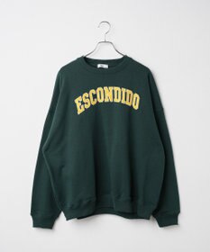 WEGO ヘビーウエイト刺繍グラフィックプルオーバー