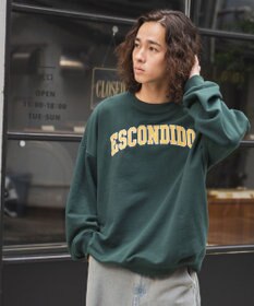 WEGO ヘビーウエイト刺繍グラフィックプルオーバー