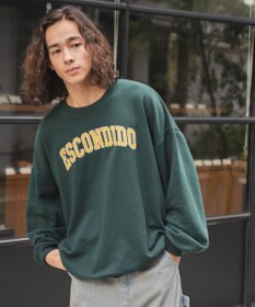 WEGO ヘビーウエイト刺繍グラフィックプルオーバー