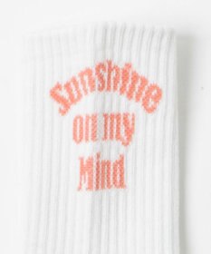 WEGO バックロゴリブソックス