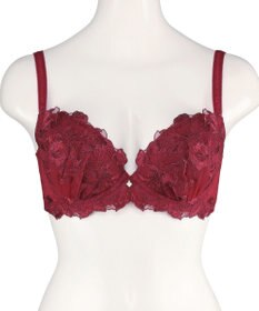 San-ai Resort（三愛水着楽園） エレガントコレクション【2411】単品ブラEFGカップ 【northerly】