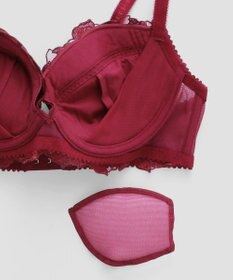 San-ai Resort（三愛水着楽園） エレガントコレクション【2411】単品ブラEFGカップ 【northerly】