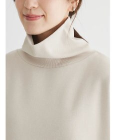 Green Parks ・ＳＵＧＡＲ　ＳＰＯＯＮ　ウラキモウオーバータートル