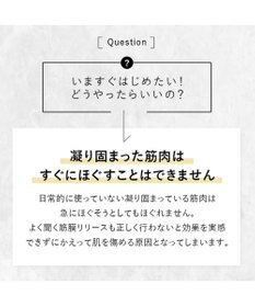 YAMATO テーブル＆キッチン 【STELLA BEAUTE】Beauty Face Stick / ブラック / SB-BFS01-03