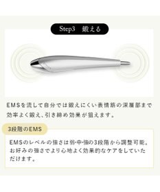 YAMATO テーブル＆キッチン 【STELLA BEAUTE】Beauty Face Stick / ブラック / SB-BFS01-03