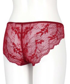 une nana cool 【ベロアのレースが特別感を演出】クリスマスモチーフ総レースショーツ