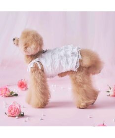 PET PARADISE cherircouture ホワイトローズ キャミソール 小型犬