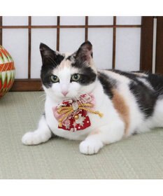 PET PARADISE ペットパラダイス 和帯 ねこ首輪 《赤》 小 / 中