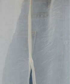 WEGO 【ANGIE VINTAGE】オーガンジープルオーバー